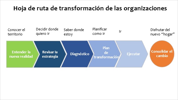 transformacion organizaciones