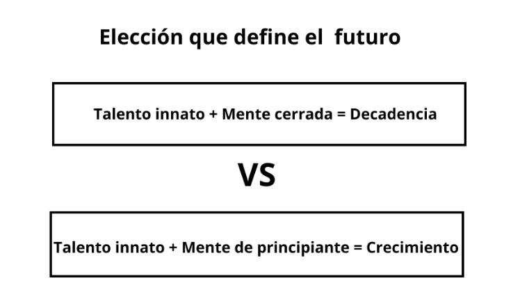 elección